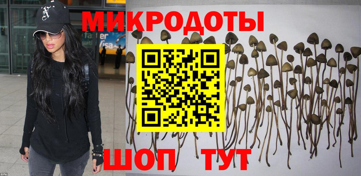 Лабинск  Псилоцибиновые грибы Cubensis  Вход с VPN 